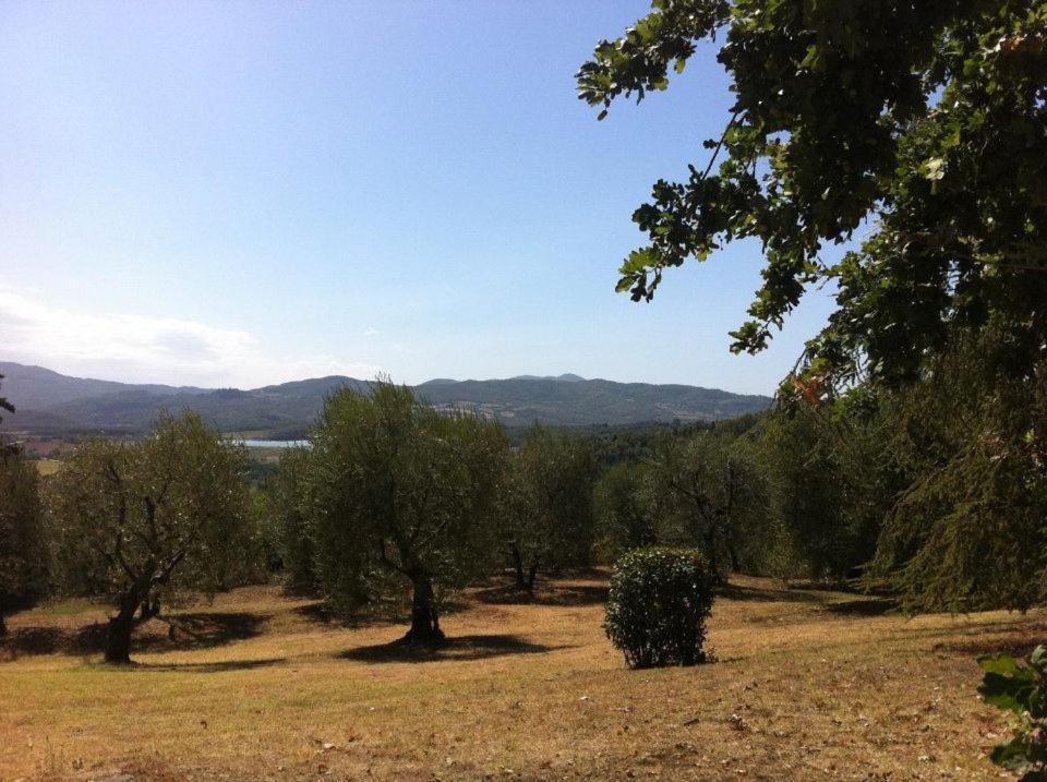 Willa Agriturismo Il Palazzaccio Galliano Zewnętrze zdjęcie