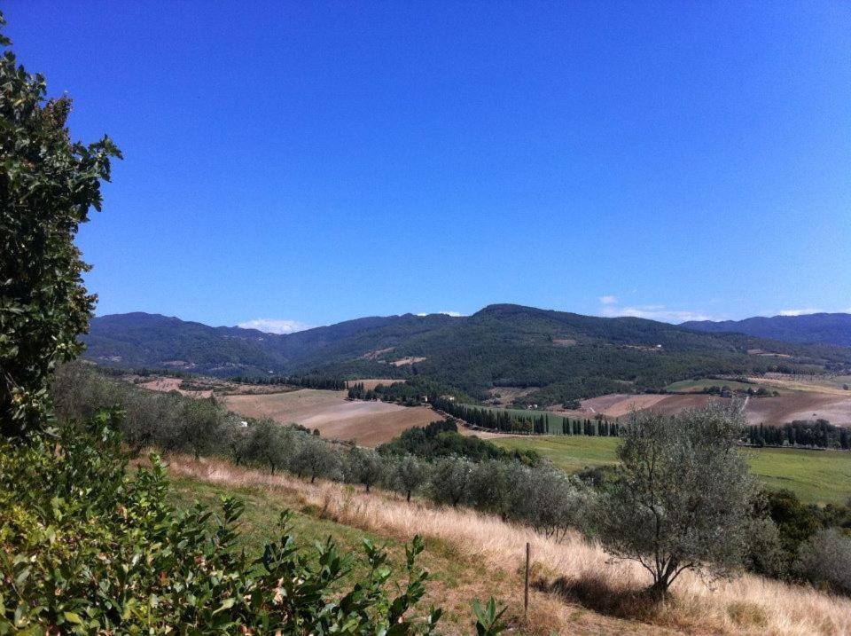 Willa Agriturismo Il Palazzaccio Galliano Zewnętrze zdjęcie